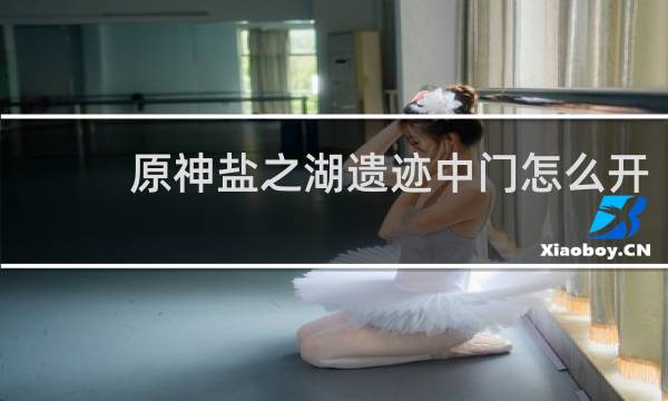 原神盐之湖遗迹中门怎么开