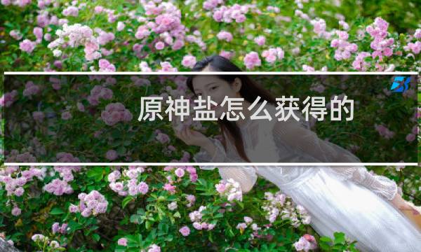 原神盐怎么获得的