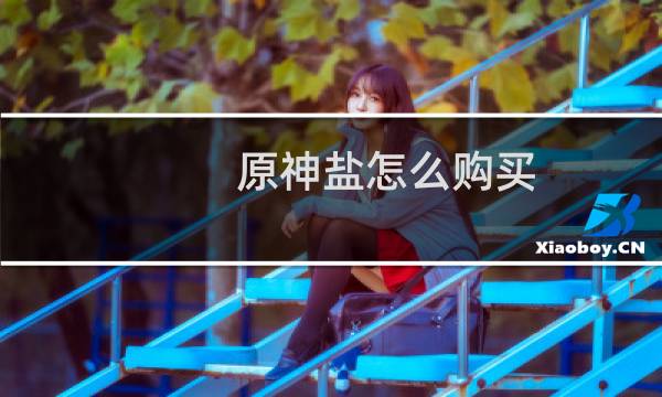 原神盐怎么购买