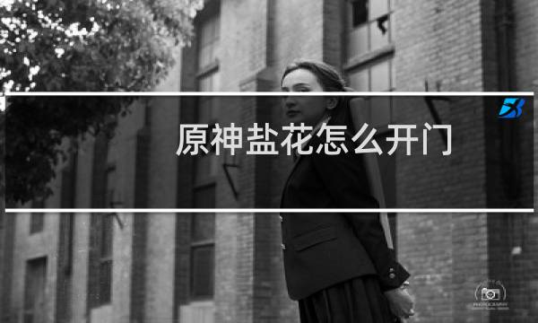 原神盐花怎么开门