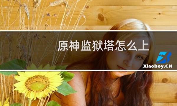 原神监狱塔怎么上