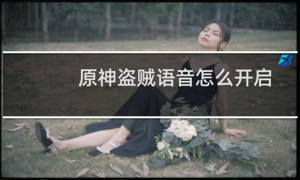 原神盗贼语音怎么开启