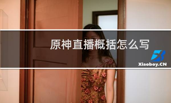 原神直播概括怎么写