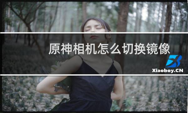 原神相机怎么切换镜像