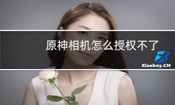 原神相机怎么授权不了