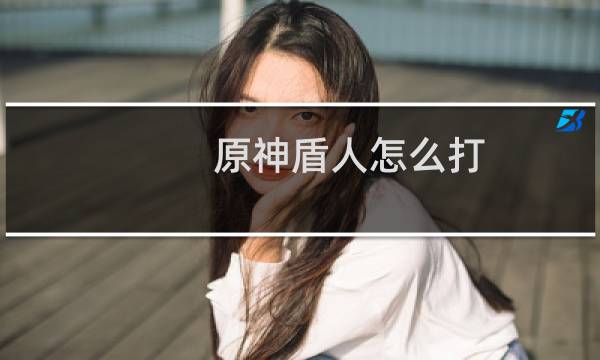 原神盾人怎么打