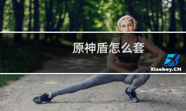 原神盾怎么套