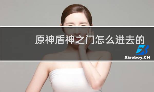 原神盾神之门怎么进去的