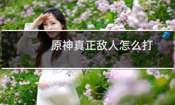 原神真正敌人怎么打