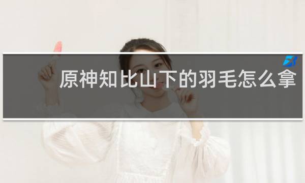 原神知比山下的羽毛怎么拿