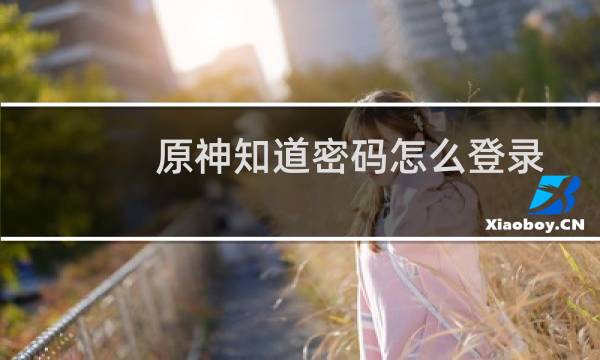 原神知道密码怎么登录