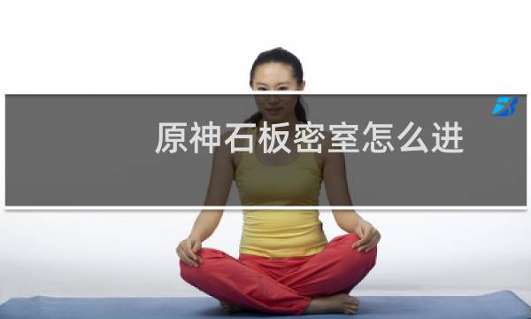 原神石板密室怎么进
