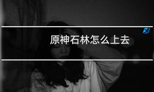 原神石林怎么上去