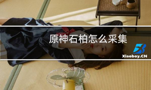 原神石柏怎么采集