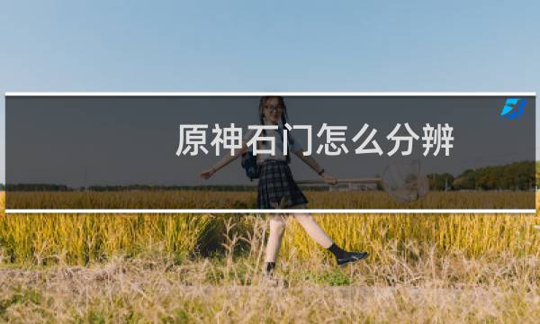 原神石门怎么分辨