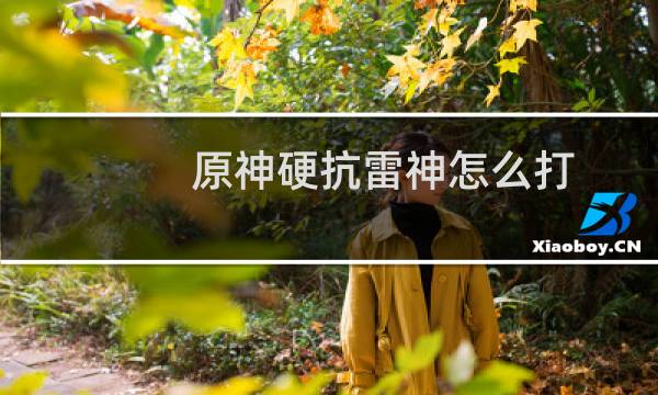 原神硬抗雷神怎么打