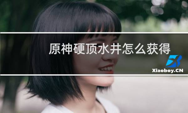 原神硬顶水井怎么获得