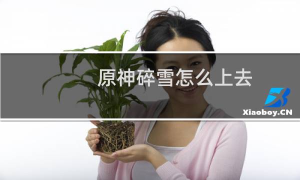 原神碎雪怎么上去