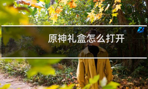 原神礼盒怎么打开