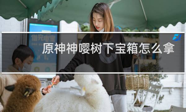 原神神嘤树下宝箱怎么拿