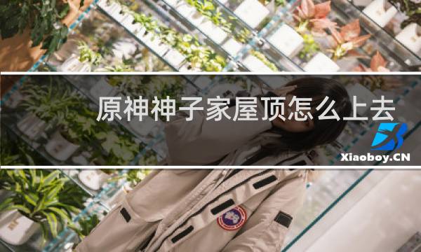 原神神子家屋顶怎么上去