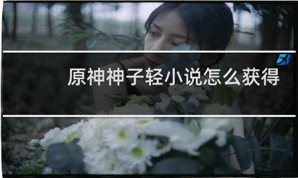 原神神子轻小说怎么获得