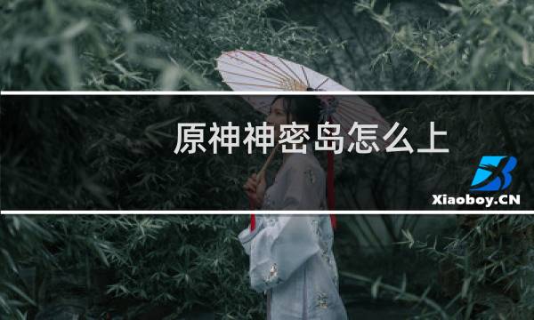 原神神密岛怎么上