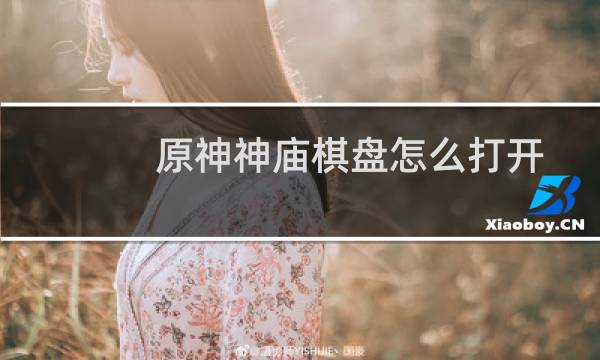 原神神庙棋盘怎么打开