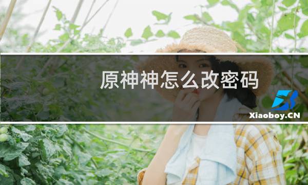 原神神怎么改密码