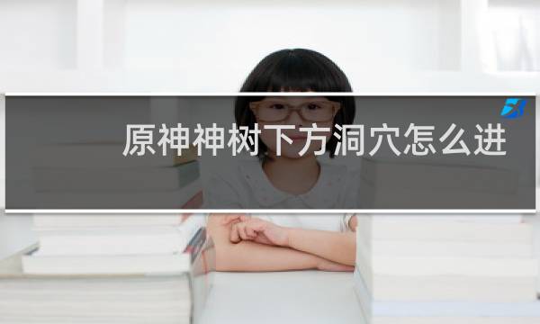 原神神树下方洞穴怎么进