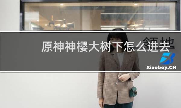 原神神樱大树下怎么进去