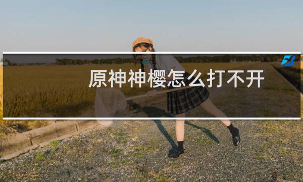 原神神樱怎么打不开