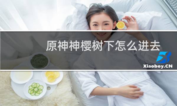 原神神樱树下怎么进去
