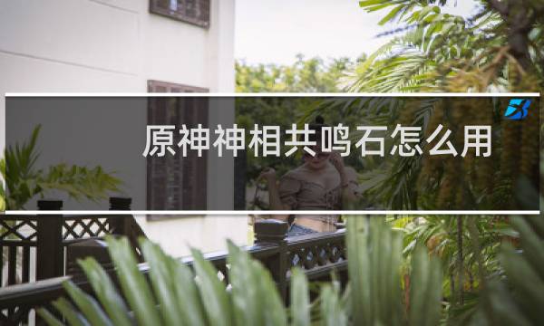 原神神相共鸣石怎么用