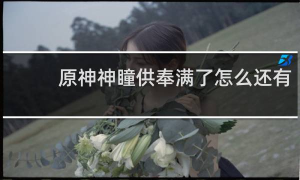 原神神瞳供奉满了怎么还有