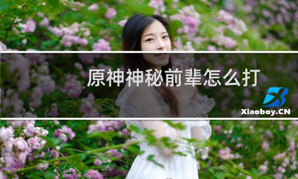 原神神秘前辈怎么打