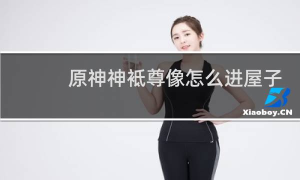 原神神袛尊像怎么进屋子