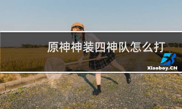 原神神装四神队怎么打