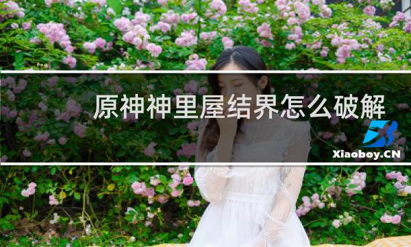 原神神里屋结界怎么破解