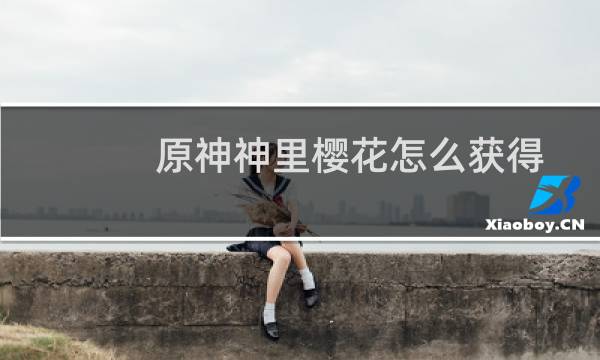 原神神里樱花怎么获得