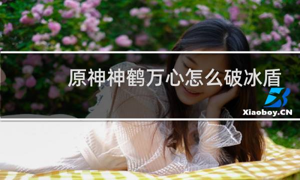 原神神鹤万心怎么破冰盾