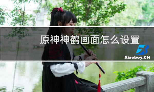 原神神鹤画面怎么设置