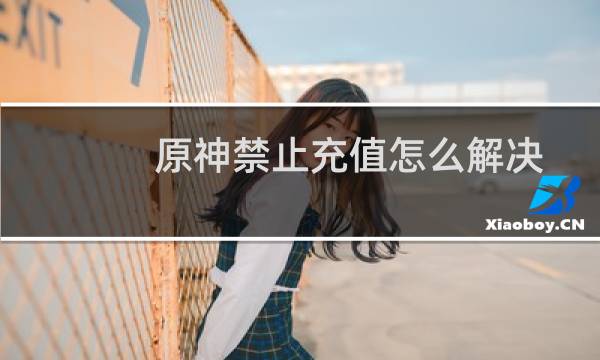 原神禁止充值怎么解决