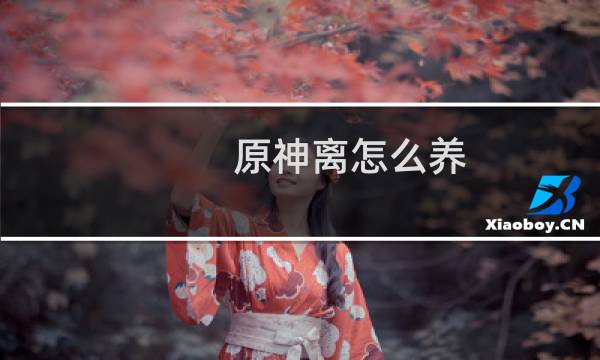原神离怎么养