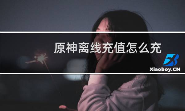 原神离线充值怎么充