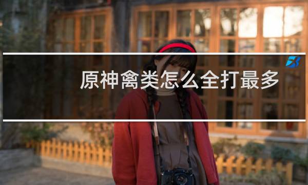 原神禽类怎么全打最多