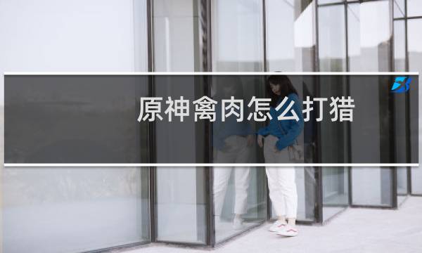 原神禽肉怎么打猎