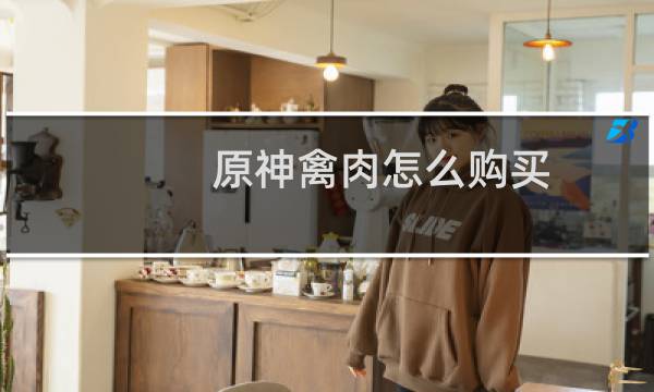 原神禽肉怎么购买
