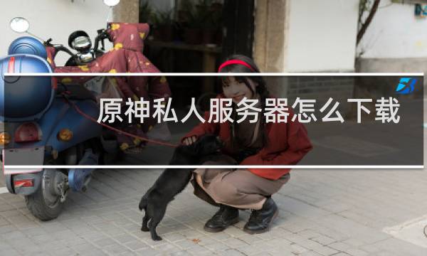 原神私人服务器怎么下载