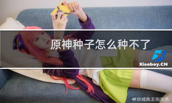 原神种子怎么种不了